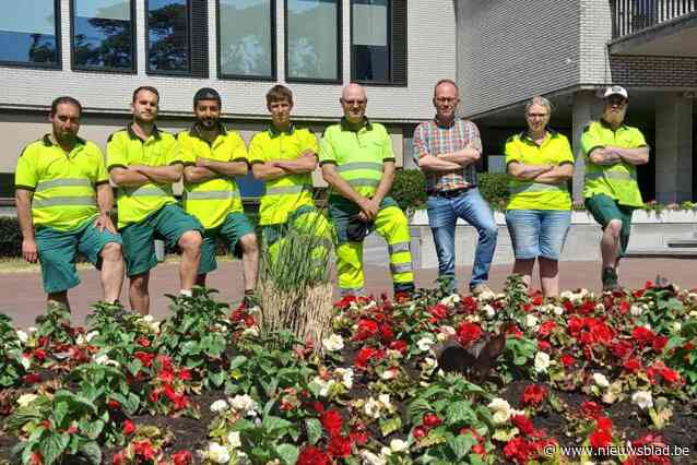 Gemeente roept mensen op om te stoppen met bloemen uit perkjes te halen: “Al 400 bloemen verdwenen”
