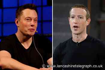 Elon Musk and Mark Zuckerberg cage match fight agreed to