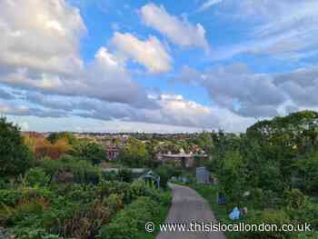 Visit Alexandra Palace allotments with the best view in London