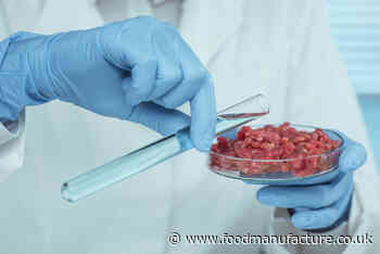 US Cultivated meat approvals herald bright future in UK