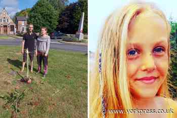 Poppleton family touched by support after vandals destroy tree