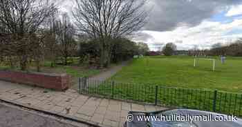 Park robbers hit boy over head with 'pole' and flee with his bike