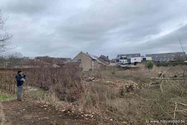 Geen maatregelen tegen ‘illegale’ boskap: “Wij zijn niet akkoord met deze conclusie”