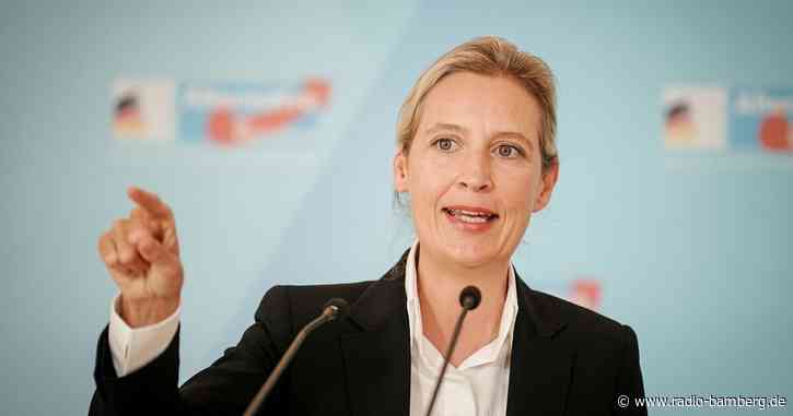 Weidel hat Lust auf AfD-Kanzlerkandidatur