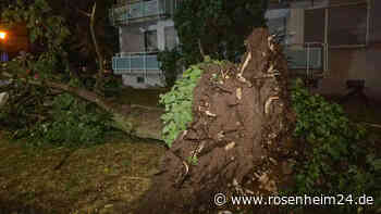 Als ein großer Regenschwall kommt, bricht der Clip ab: TikTok-Video zeigt mutmaßlichen Tornado