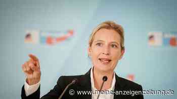 Weidel hat Lust auf AfD-Kanzlerkandidatur