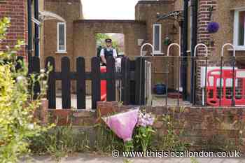 Staines Road Hounslow deaths: Mum and two kids were murdered