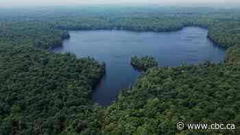 Ontario announces upgrades to newly designated provincial park in Muskoka region