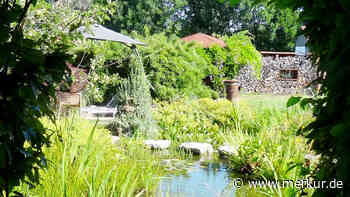 Unterallgäu: „Tag der offenen Gartentür“ am 25. Juni