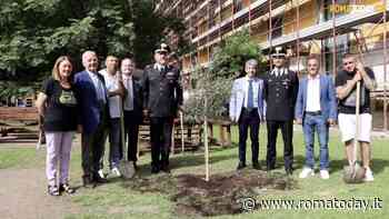 VIDEO | Villa Maraini, un ulivo nel segno della collaborazione: i carabinieri lo piantano insieme ai ragazzi della comunità