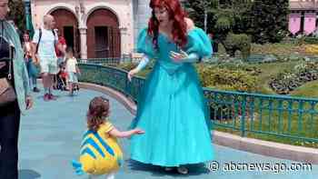 WATCH:  Toddler dressed as Flounder from 'The Little Mermaid' meets Ariel at Disneyland