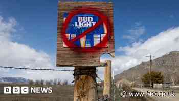 If US companies 'go woke', do they really go broke?