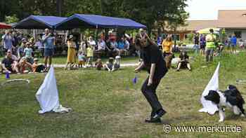 Zahlreiche Attraktionen beim SV Gelting und der Wilden Rose