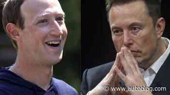 Elon Musk's mom warns him against Mark Zuckerberg cage match: 'Fight with words only'