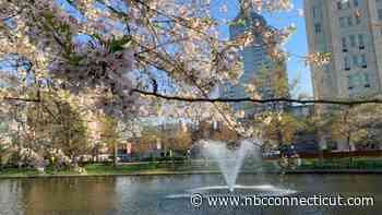 Where you can find free yoga classes in Connecticut this summer