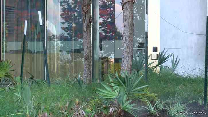 Hundreds of layoffs coming to the Austin area this summer