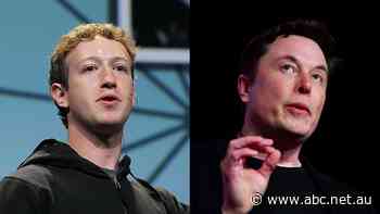 Fracas in Vegas? Musk, Zuckerberg talk cage match in social media bluster