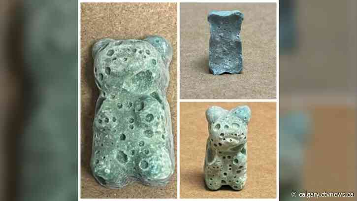 Suspected fentanyl, brightly coloured and candy shaped, found in Lethbridge's Galt Gardens