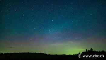 Curiosity and connection inspire love of Indigenous constellation stories