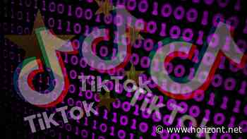 Gute Werbung, schlechte Werbung: Diese Marke überzeugt bei TikTok mit Humor - und diese verfehlt ihre Zielgruppe