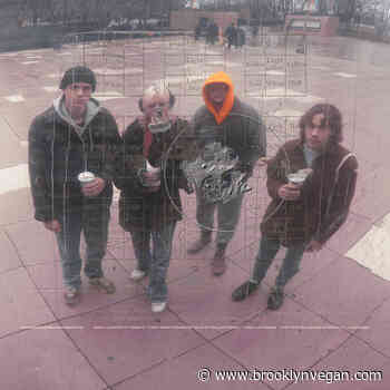 Feeble Little Horse cancel summer tour