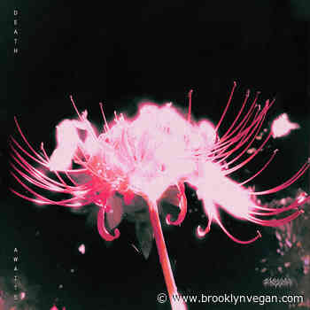 Blind Equation announces 'Death Awaits' LP for Prosthetic, shares "Never Getting Better"