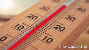 As electricity prices soar, this Adelaide council says a cool refuge for residents on hot days may be necessary