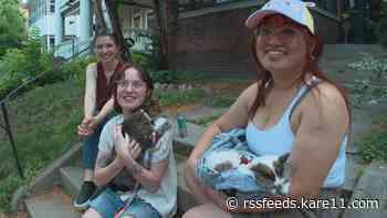 This neighborhood tour in Minneapolis is the cat's meow