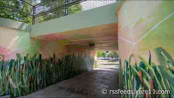 Minneapolis park mural series aims to beautify, discourage vandalism