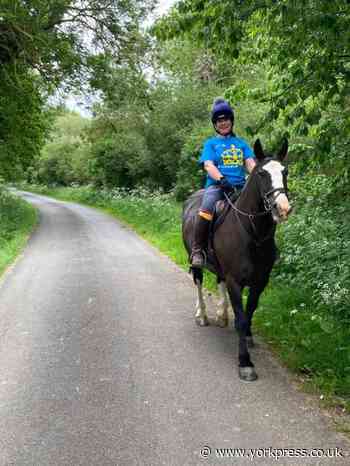 St Leonard's Hospice: Charity horse in memory of Kate Jeffery