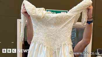 Hampshire: Police appeal to find owner of wedding dress