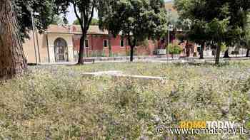 LETTORI - Garbatella storica sparita sotto  sterpaglie e spazzatura