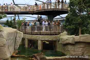 Allwetterzoo: Ein Tropenhaus für das 21. Jahrhundert