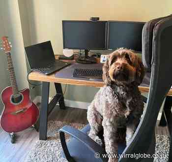 Bring Your Dog to Work Day 2023: Share your pictures with us