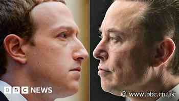 Quiz of the week: How do Zuckerberg and Musk plan to face off?