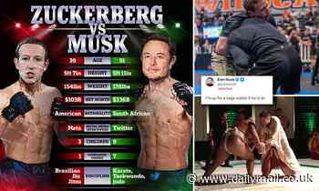 Who will win in fight between Elon Musk and Mark Zuckerberg after billionaires agreed to fight 