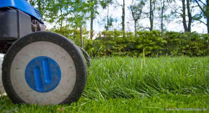 Workout im Grünen – AOK Hessen gibt Tipps für gesunde Gartenarbeit