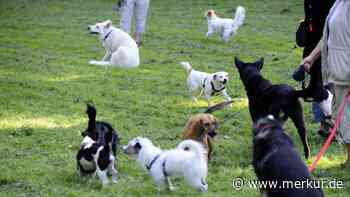 Absage an Hundewiese in Eichenau