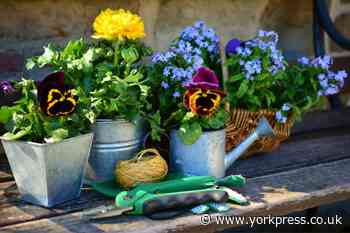 6 ways you might be breaking the law in your garden