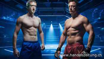 Elon Musk und Mark Zuckerberg steigen in den Boxring