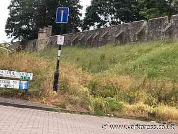 York's overgrown verges: 'Doesn't feel safe; they need cut'