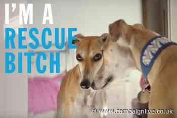 New Commercial Arts wins Battersea Dogs & Cats Home creative account