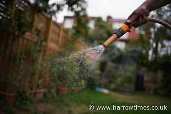 Thames Water update on likelihood of London hosepipe ban