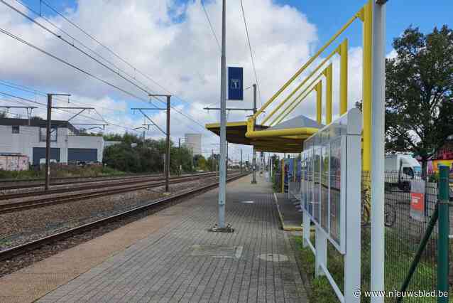 De Lijn past vervoersplan aan: Onrust in Ruisbroek