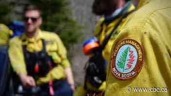 P.E.I. will have civil servants ready to fight wildfires after 10 days training