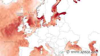 Satellites observe record-breaking marine heatwave hit North Atlantic