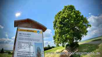 Kritik an "Hitler-Linde" im Alb-Donau-Kreis – mit etwas Erfolg