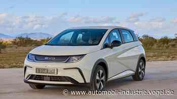 BYD Dolphin – Knapp günstiger als der VW Golf