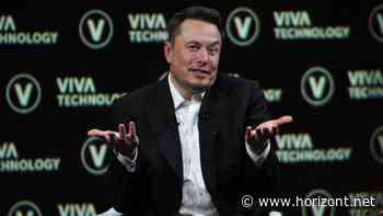 Rivalen in den Ring? : Elon Musk fordert Mark Zuckerberg zum Käfigkampf heraus