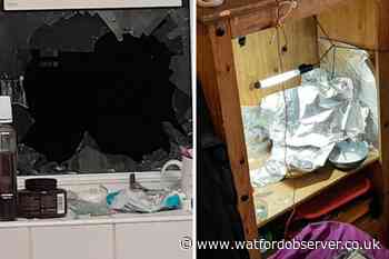 No arrests after 'drugs seized' in Hemming Way, Watford